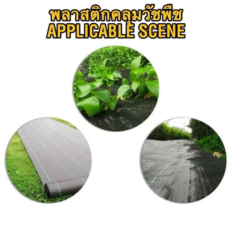 (แบบหนา) ผ้าคลุมดิน(เกรด A) ผ้าคลุมหญ้า พลาสติกคลุมวัชพืช น้ำซึมผ่านได้ คลุมวัชพืช **ตัดแบ่งเป็นเมตร (1 ชิ้น = 1 เมตร)