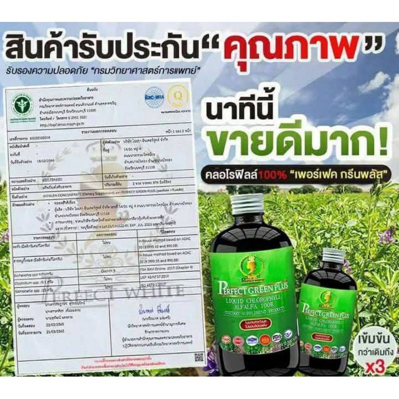 🌿ของแท้🌿 คลอโรฟิลล์ ชนิดน้ำเข้มข้น 💯% PerfectGreenplus (อย่าลืมเก็บโค้ดส่วนลด) - รูปที่ 5