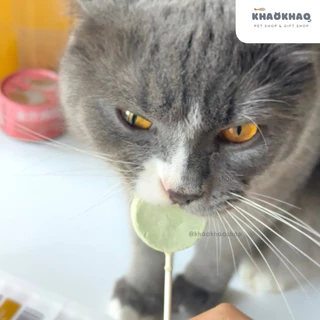 ( คละรส 5 ชิ้น ) New Ranova Lollipop อมยิ้มฟรีซดรายไก่ ผสมผัก ผลไม้ ขนมแมว อมยิ้มแมว อาหารเสริมสำหรับแมว อมยิ้มน้องแมว