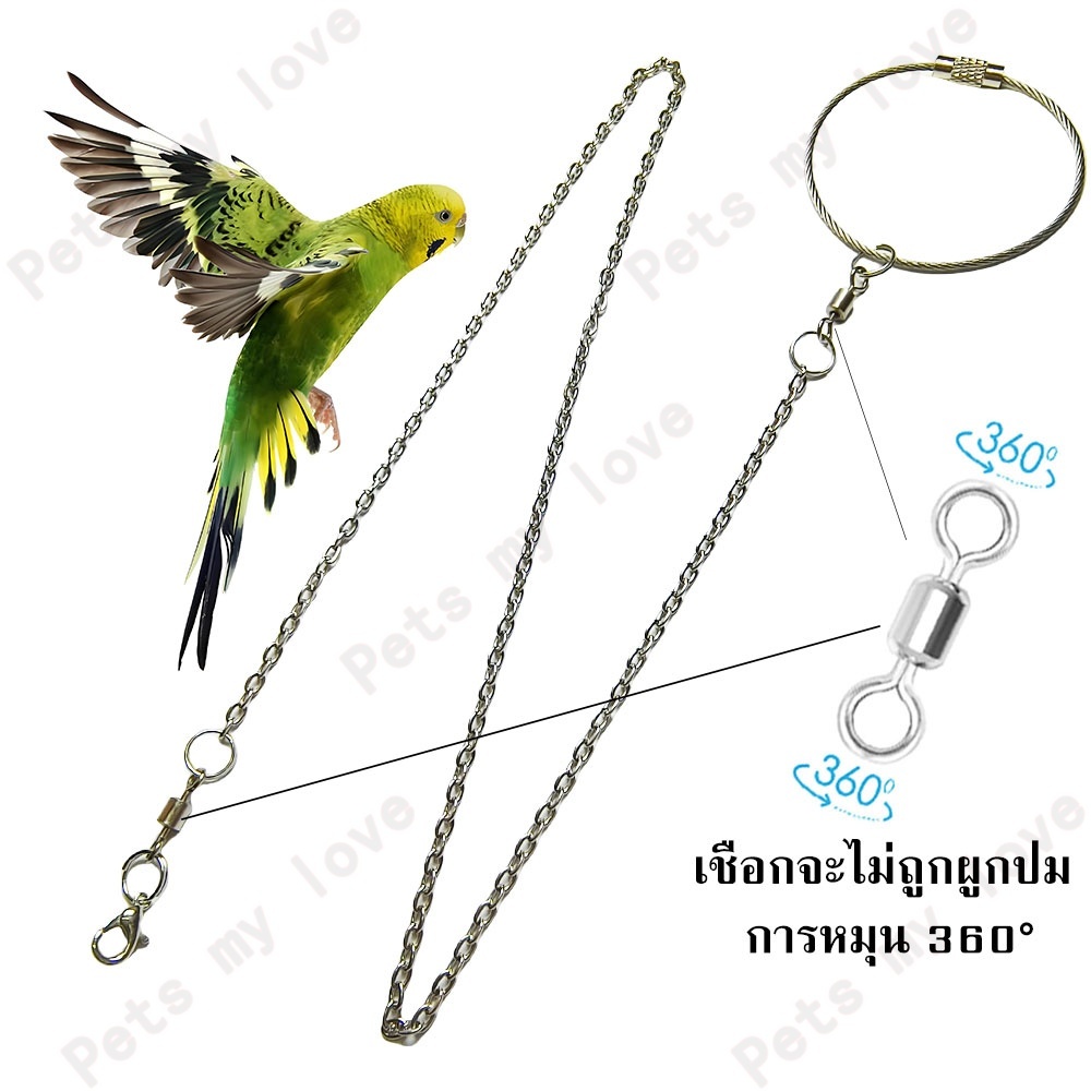 1 เมตร โซ่คล้องขานก โซ่คล้องขานกสแตนเลส สายจูงนก เชือกจูงนก เชือกนก เหมาะสำหรับนกแก้ว ฟอพัส กรีนชีค
