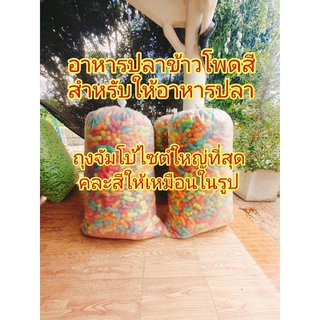 อาหารปลาข้าวโพด(สำหรับให้อาหารปลา ตัวไม่สวยA)ถุงจัมโบ้ไซต์ใหญ่เต็มถุง