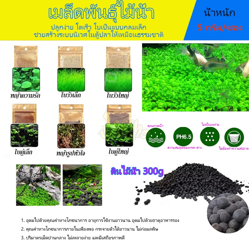 เมล็ด ไม้น้ํา ดินปลูกไม้น้ำ​ น้ำไม่ดำ​ ดินไม่แตก ปลูก เมล็ดพันธ์ุไม้น้ำ ตกแต่งตู้ปลา 6 ชนิด

<p>“><center></p>
<h4></h4>
<p><p><font color=