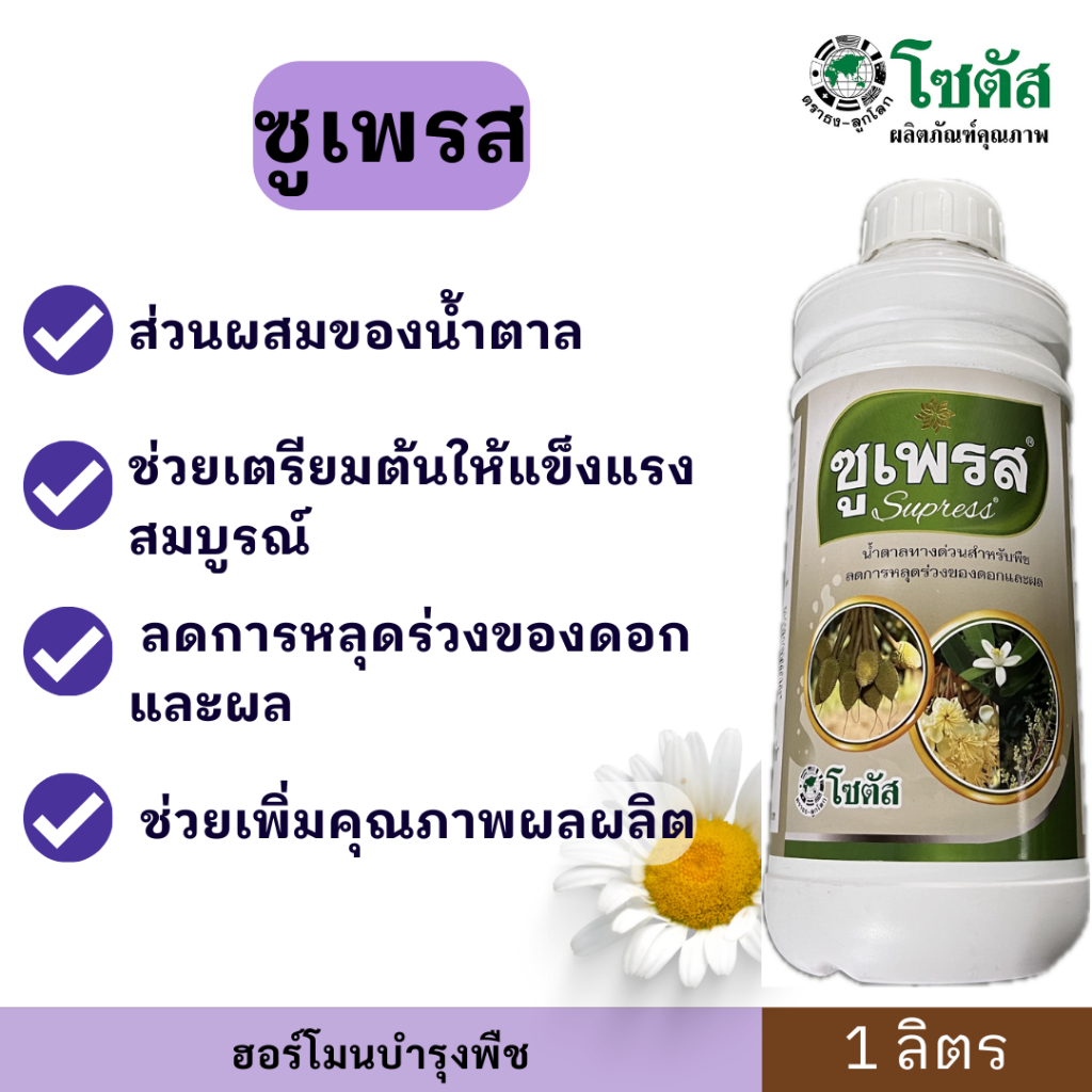 ราคาส่ง💥 ซูเพรส = น้ำตาลทางด่วน 💥1ลิตร ดูดซึมทันที ต้นแข็งแรงสมบูรณ์ ลดการหลุดร่วงของดอก เพิ่มผลผลิต ขนาด เพิ่มน้ำหนัก