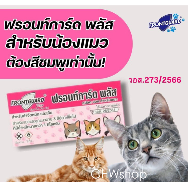 แมว Frontguard Plus (เห็บ-หมัดแมว) หยดหลังน้องแมว น้ำหนักมากกว่า 1 กิโลกรัมขึ้นไป (ทะเบียน วอส.273/2566)