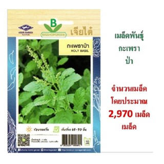 5 ฟรี 1 คละได้ทั้งร้าน เมล็ดพันธุ์ กะเพราป่า  ตรา เจียไต๋ จำ…