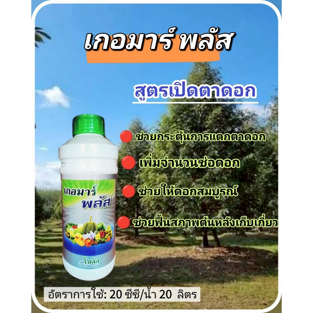 บริษัท โซตัส เกอมาร์ พลัส ขนาด 1000 ซีซี เกอมาร์ พลัส 500 ซีซี สูตรเปิดตาดอก กระตุ้นการแตกตาดอก ส่งเสริมการแตกตาตาดอก