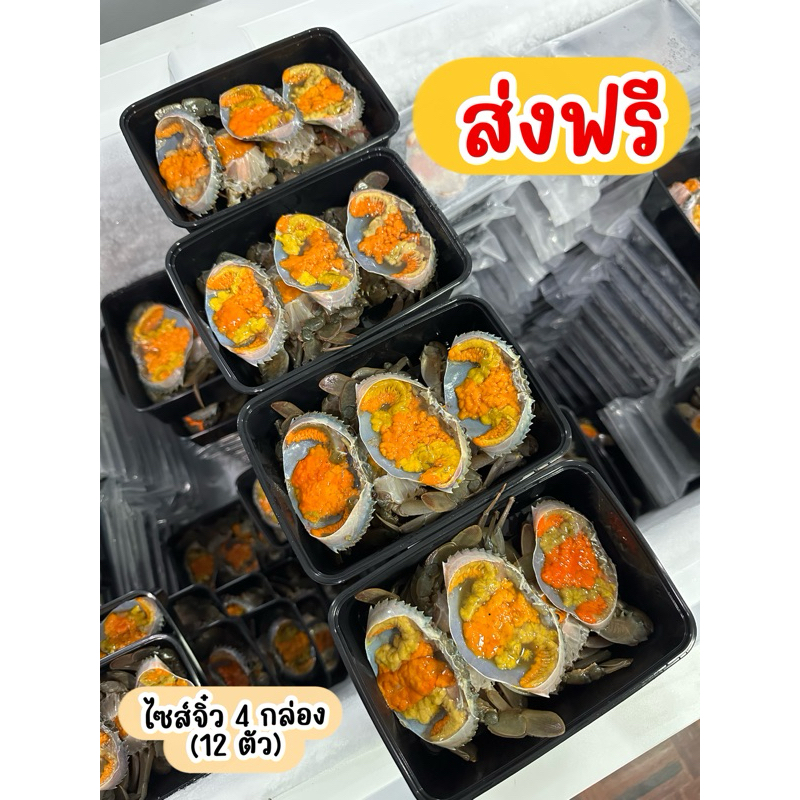 เซ็ตส่งฟรี✅ ปูไข่ไซส์จิ๋วดองน้ำปลากวน12ตัว แถมฟรีน้ำจิ้มซีฟู้ด