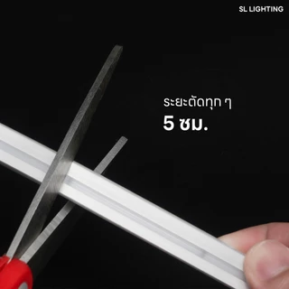 SL LIGHTING | ไฟเส้น NEON-FLEX LED ขนาด 12x12mm. (10เมตร) IP65 กันน้ำกันฝุ่น ยืดหยุ่นสูง DC24V และ อุปกรณ์เสริม