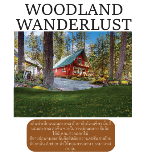 หัวเชื้อน้ำหอม Woodland wanderlust 30 มล. 80 บาท กลิ่นทำเทียน ปรับอากาศ น้ำหอม กลิ่นสะอาด สดชื่น ไม่มีแอลกอฮอล์100%