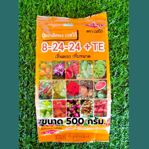 ปุ๋ยเกร็ด 8-24-24+TE ปุ๋ยแบ่ง 500 กรัม สูตรเพิ่มดอก เพิ่มขนาด เร่งหวาน