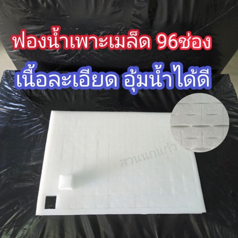 ฟองน้ำปลูกผัก ฟองน้ำเพาะเมล็ด ฟองน้ำเพาะกล้า ปลูกผัก ไฮโดรโปนิกส์ เนื้อละเอียด 96 ช่อง แบบมีขอบ