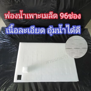 ฟองน้ำปลูกผัก ฟองน้ำเพาะเมล็ด ฟองน้ำเพาะกล้า ปลูกผัก ไฮโดรโปนิกส์ เนื้อละเอียด 96 ช่อง แบบมีขอบ