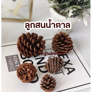 ลูกสนธรรมชาติ ลูกสนน้ำตาล ลูกสน ตกแต่งบ้าน พร๊อพถ่ายสินค้า ธ…