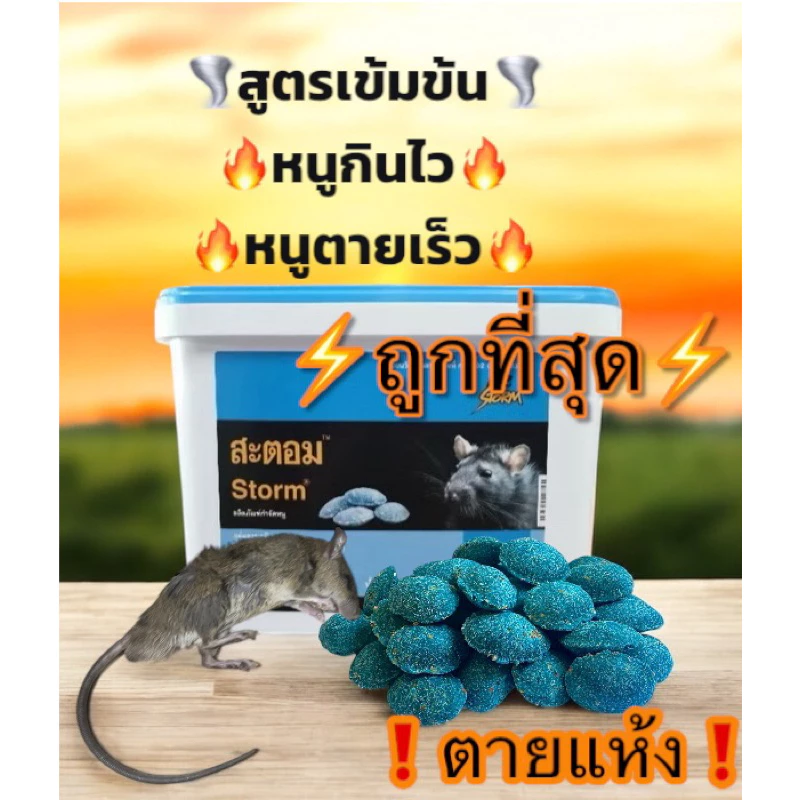 สะตอม ยาเบื่อหนู เหยื่อกำจัดหนู หนูกินง่าย ตายเร็ว ตายแห้ง