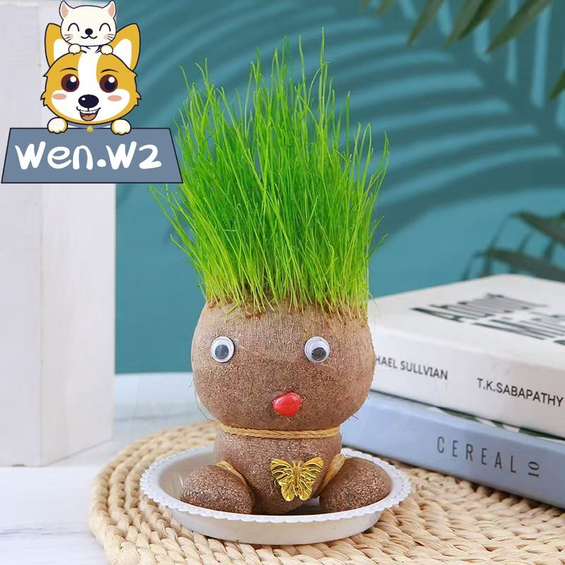 wen.W2 ตุ๊กตาหัวหญ้า หญ้าแมว ตุ๊กตาผมเป็นต้นไม้