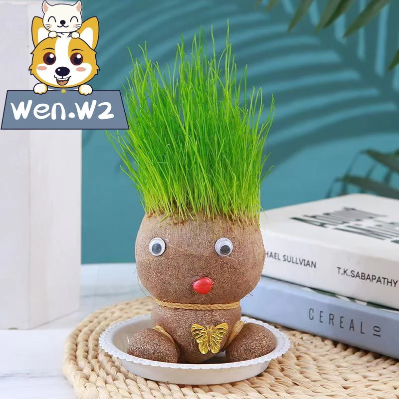 wen.W2 ตุ๊กตาหัวหญ้า หญ้าแมว ตุ๊กตาผมเป็นต้นไม้