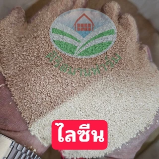 L-Lysine แอล-ไลซีน อายิ กรดอะมิโนสำหรับสัตว์เร่งโต ไก่ เป็ด สุกร วัว ปลา กุ้ง สุนัข แมวโปรตีนเสริมอาหารสัตว์ 0.5,1 กิโล