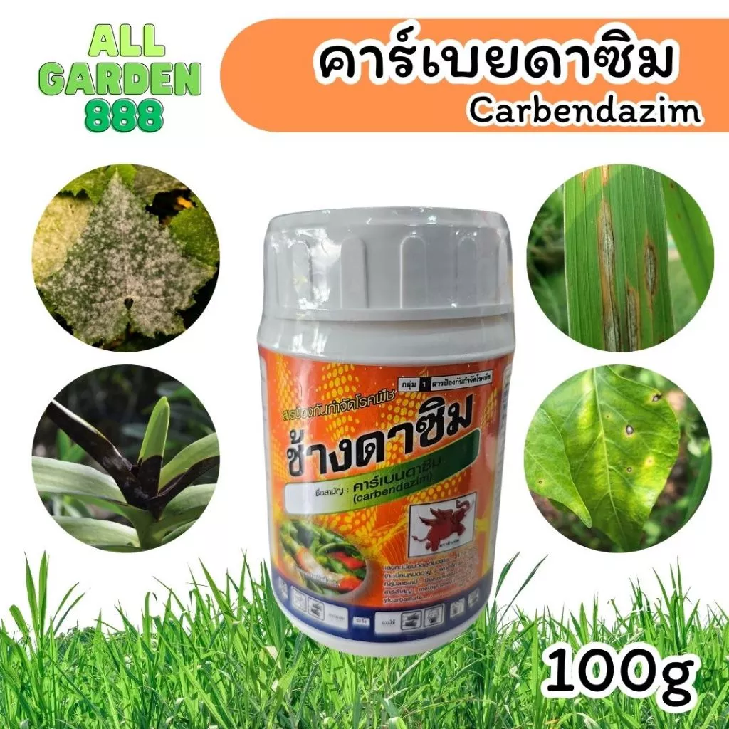 คาร์เบนดาซิม ยาเชื้อรา ป้องกันโรคพืช แอนแทรคโนส ใบจุด ดอกเน่า ใช้ได้กับพืชหลายชนิด สูตรเข้มข้น ปลอดภัยต่อพืช