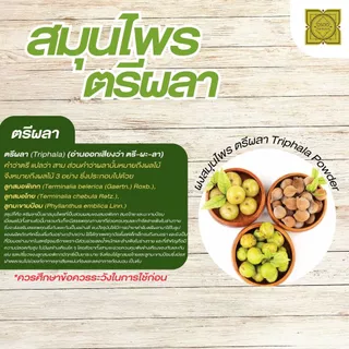 ผงตรีผลา (Triphala Powder) บดละเอียด แท้ 100% ขนาด 500 1000 กรัม สมุนไพร ผงตรีผลา ตรีผลา