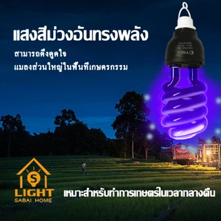 หลอดไฟ คีบแบต DC 12V black light 65W หลอดไฟล่อแมลง แสงสีม่วง ไฟคีบแบต ไฟล่อแมลง รุ่น TSM-PP65C
