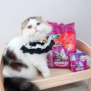 (ซอง 400g) อาหารแมววิสกัส Whiskas 400g อาหารเม็ดแมว