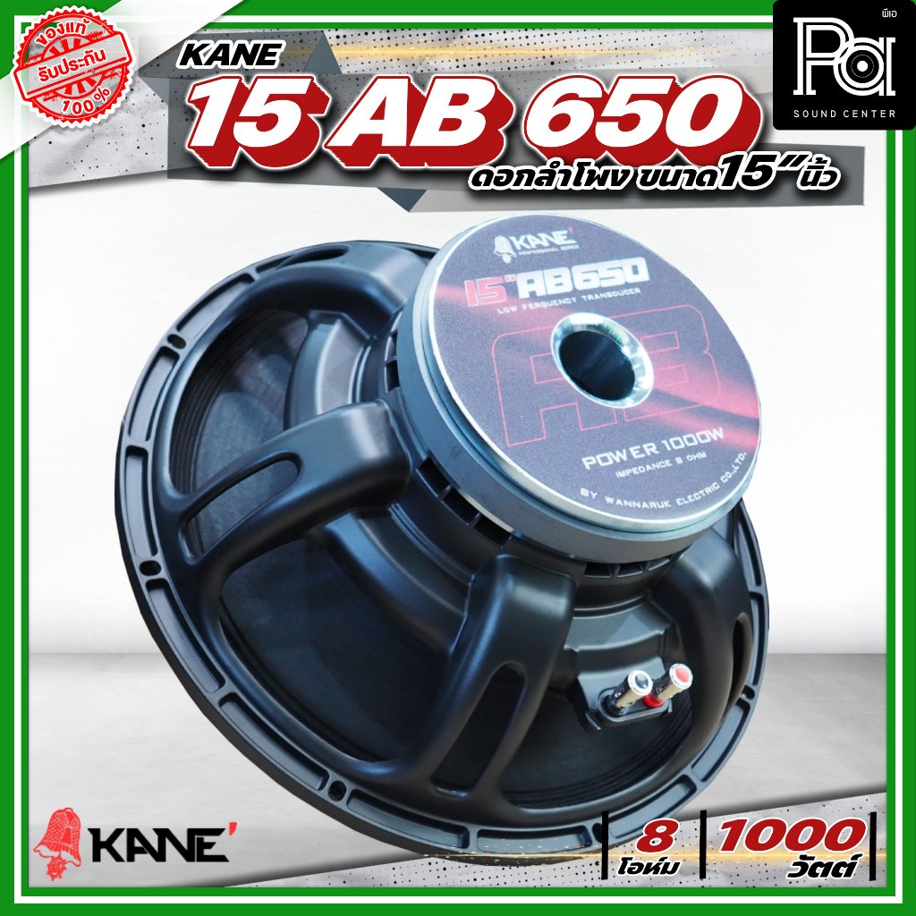 KANE 15AB650 ดอกลำโพง 15 นิ้ว โครงหล่อ 8โอห์ม 500 / 1000 วัตต์ 99 dB 15 AB 650 ค