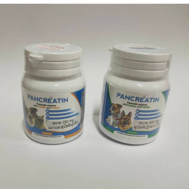 Pancreatin บรรจุ 30 แคปซูล เอ็นไซม์เสริมอาหาร สำหรับสุนัขและแมวที่มีภาวะตับอ่อนอักเสบ (แพนครีเอทิน)