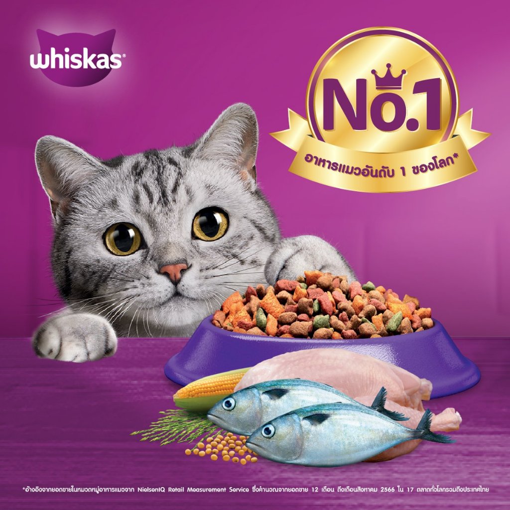 Whiskas วิสกัส อาหารแมวชนิดแห้ง แบบเม็ด ขนาด 2.7- 3กิโลกรัม (เลือกสูตรได้) - รูปที่ 3