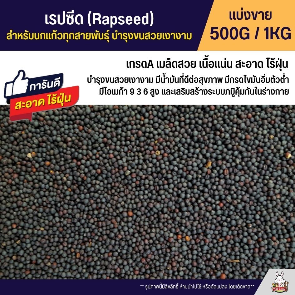 เรปซีด (Rapeseed) อาหารนกแก้ว สำหรับนกแก้วทุกสายพันธุ์ บำรุงขนสวยเงางาม (แบ่งขาย 250G / 500G / 1KG)