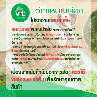 แหนมเนือง วีทีแหนมเนือง VTแหนมเนือง อุดรธานี พร้อมจัดส่งแบบEMS แบบรถแช่เย็น จัดส่งได้ทั่วประเทศ
