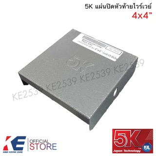 5K แผ่นปิดหัวท้าย ไวร์เวย์ 2x3" 2x4" 4x4" 4x6" 4x8" หนา 0.6 มิล แผ่นปิดท้าย วายเว รางไวร์เวย์ by KJL