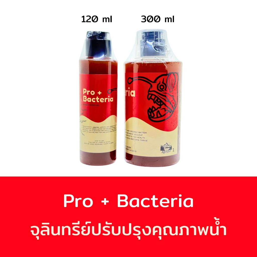Pro+ Bacteria ช่วยบำบัดน้ำ ลดน้ำเขียวและตะกอน ส่งเสริมสุขภาพปลาและสัตว์น้ำ ราคา ถูกที่สุด ดีลบีเคเค รูปภาพหลัก
