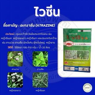 เข้แดง ไวซีน ขนาด 1 กิโลกรัม คุมและกำจัดวัชพืชใน ข้าวโพด อ้อ…