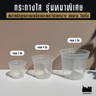 กระถางใส รุ่นหนาพิเศษ กระถางต้นไม้ใส ส่องรากง่าย แบบเหนียวและหนาไม่แตกง่าย กระถางพลาสติกใส ขนาด3 4 5 นิ้ว