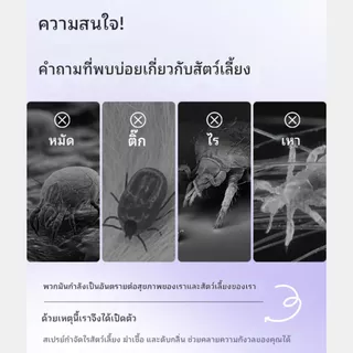 Bucatstate สเปรย์กำจัดไร สำหรับสัตว์เลี้ยง แฮมเตอร์ ชินชิล่า ไก่ ชูก้า กระต่าย ไม่ต้องล้างออก แห้งเร็ว 70ml