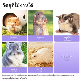 Bucatstate สเปรย์กำจัดไร สำหรับสัตว์เลี้ยง แฮมเตอร์ ชินชิล่า ไก่ ชูก้า กระต่าย ไม่ต้องล้างออก แห้งเร็ว 70ml