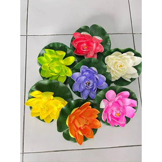 ดอกบัวลอยน้ำ 7สี 7ดอก สีสันอ่างบัวสวยงาม