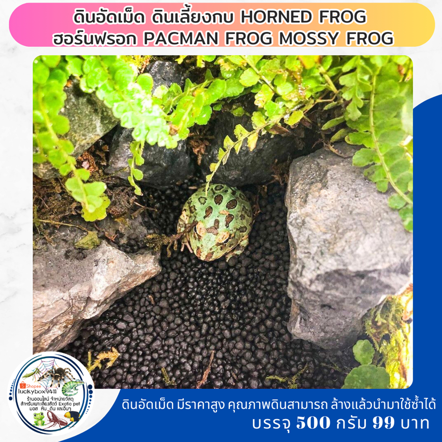 ดินอัดเม็ด ดินเลี้ยงกบ ฮอร์นฟรอก Pacman Frog 500 กรัม 99 บาท