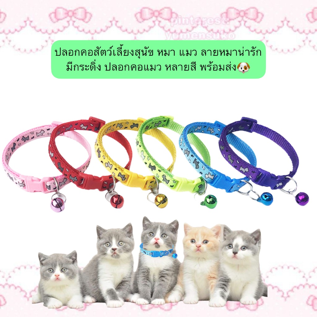 MG-558 ปลอกคอสัตว์เลี้ยง สุนัข หมา แมว ลายหมาน่ารัก 🐶 พร้อมกระดิ่งเสียงใส ปรับขนาดได้ ใส่สบาย หลายสี พร้อมส่ง!