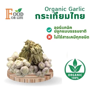 กระเทียมไทย ออร์แกนิค มาตรฐานเกษตรอินทรีย์ ปลอดภัย 100% รสเผ็ดแบบธรรมชาติ สรรพคุณเป็นยาอายุวัฒนะ ทานอาหารเป็นยาดีที่สุด