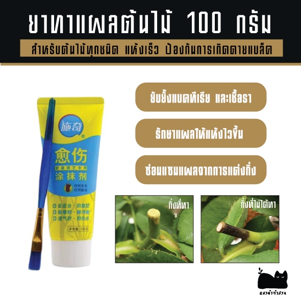 ยาทาแผลต้นไม้ ฟรีพู่กัน ขนาด 100 กรัม ป้องกันการติดเชื้อ ผสานแผลได้เร็วขึ้น ใช้ได้กับต้นไม้ทุกชนิด ราคา ถูกที่สุด ดีลบีเคเค