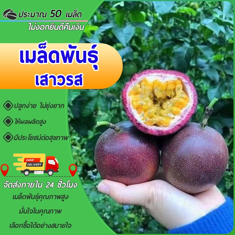 50เมล็ด เมล็ดพันธุ์เสาวรส เมล็ดเสาวรส งอกง่าย ทนร้อน โตไว ลูกดกทานอร่อย