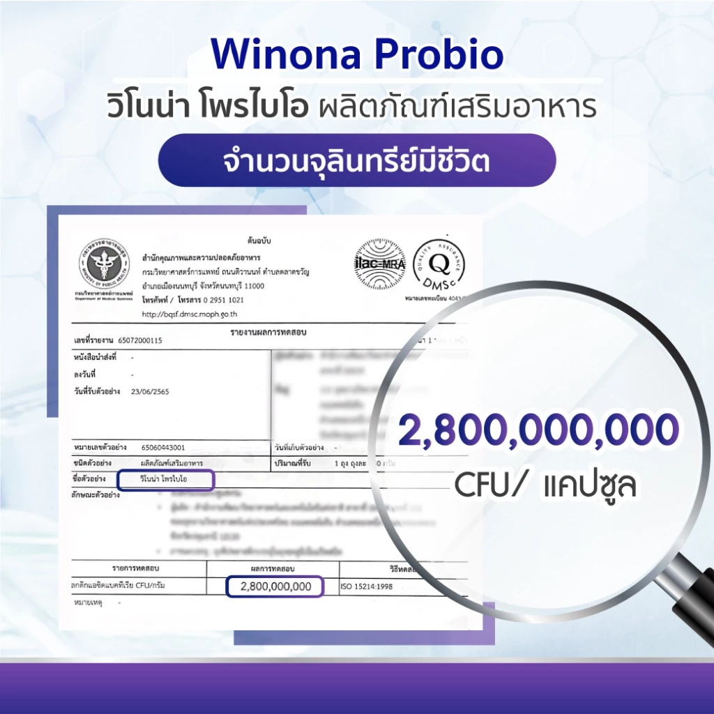 Winona Probio MSMC (สูตร1) 2 กระปุก จุลินทรีย์มีชีวิต โพรไบโอติกส์ สายพันธุ์ไทย thumbnail 7
