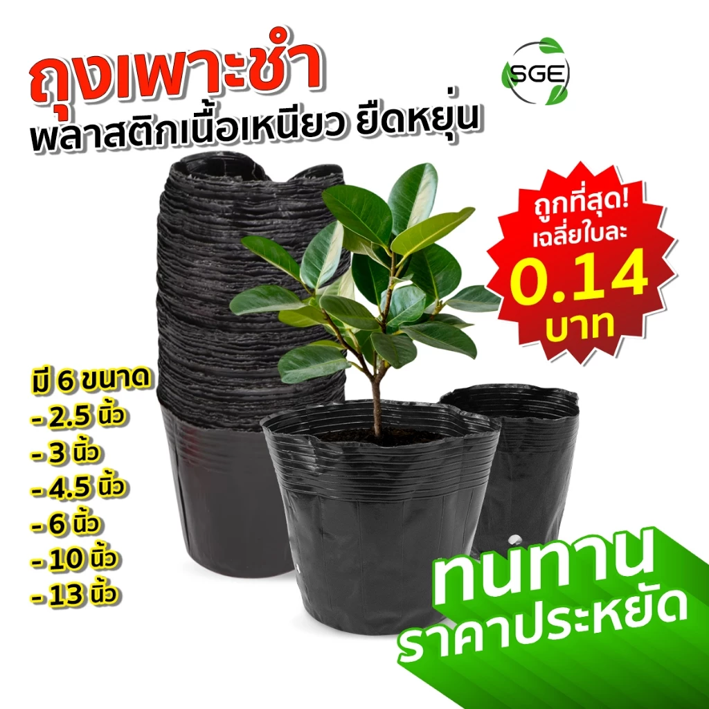 SGE ถุงเพาะชำ ถุงดําปลูกต้นไม้ รุ่น POT-D มีทุกขนาด ส่งไว เนื้อมัน เหนียว หนา ไม่ฉีกขาดง่าย คุณภาพดี