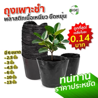 SGE ถุงเพาะชำ ถุงดําปลูกต้นไม้ รุ่น POT-D มีทุกขนาด ส่งไว เนื้อมัน เหนียว หนา ไม่ฉีกขาดง่าย คุณภาพดี