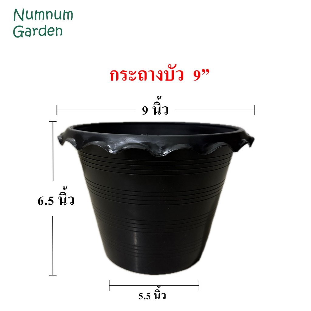 อ่างบัว กระถางบัว ขนาด 9 นิ้ว อ่างบัวพลาสติก อ่างเลี้ยงบปลา บ่อปลา