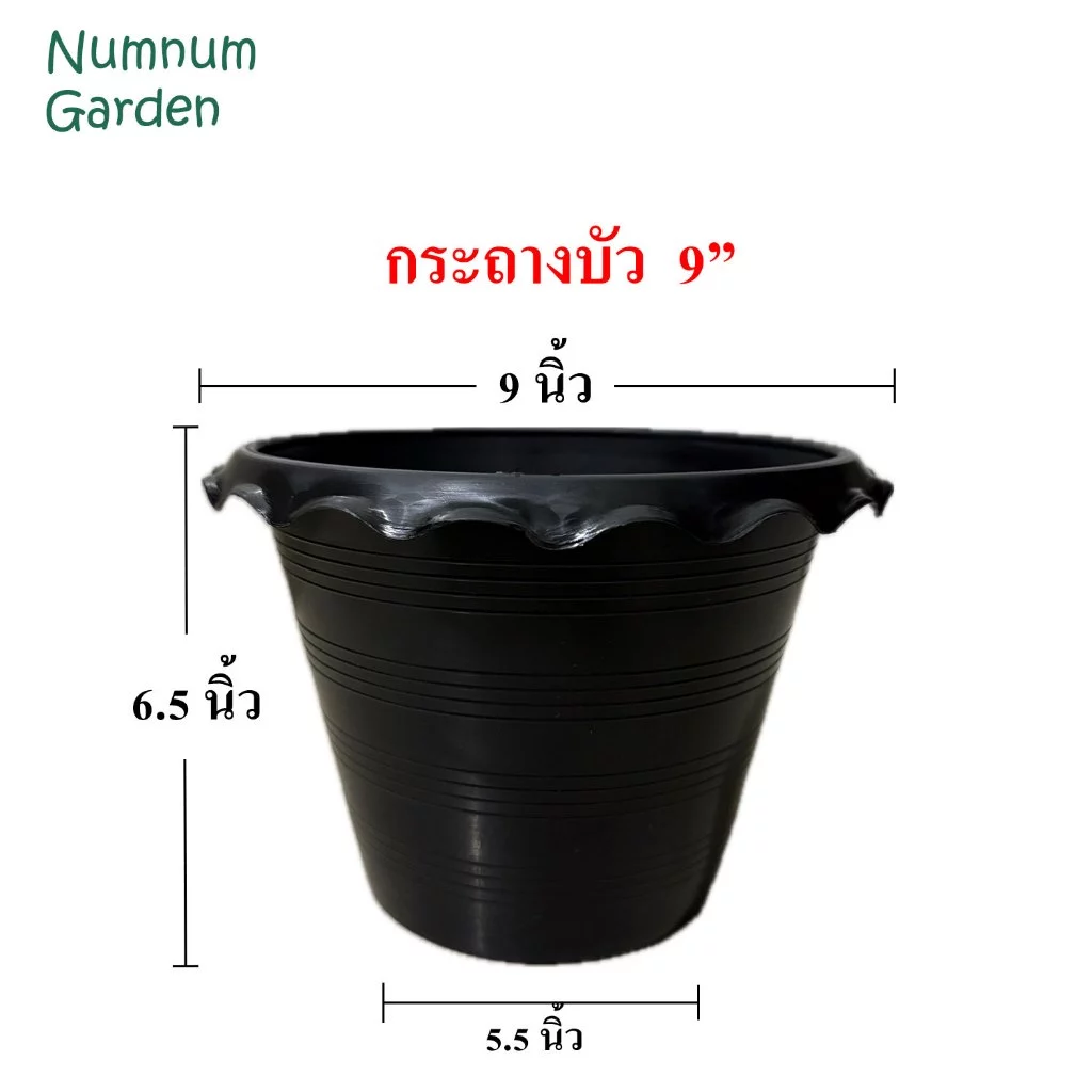 อ่างบัว กระถางบัว ขนาด 9 นิ้ว อ่างบัวพลาสติก อ่างเลี้ยงบปลา บ่อปลา
