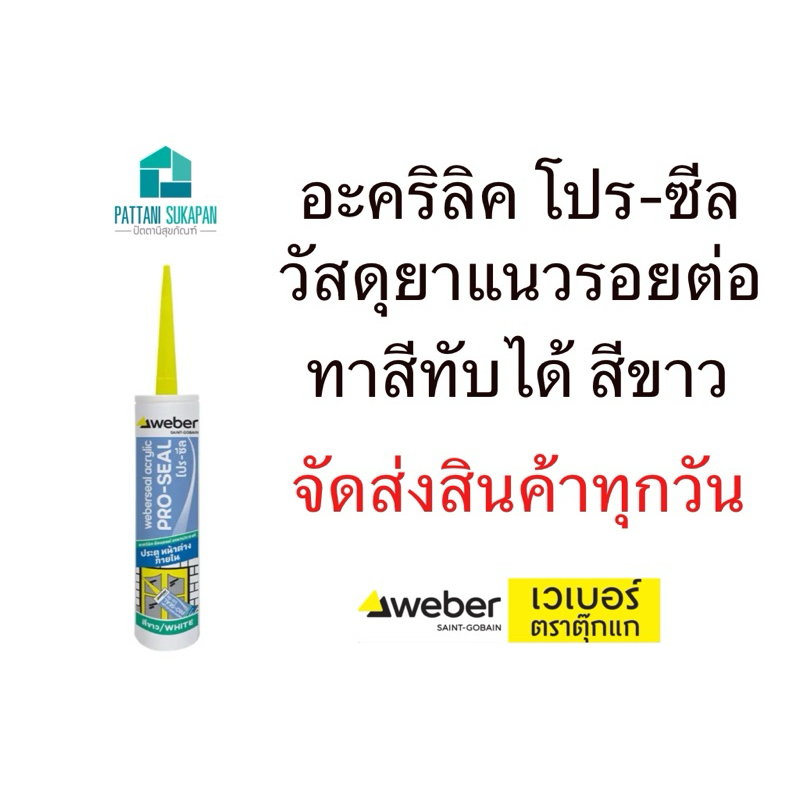 ล้างสตอค Weber อะคริลิคโปรซีล 460กรัม สีขาว