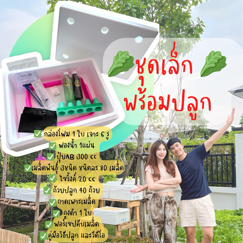 ชุดทดลองปลูกผักสลัด ผักไฮโดรโปนิกส์ Hydroponic สุดคุ้มพร้อมปลูกสำหรับมือใหม่!