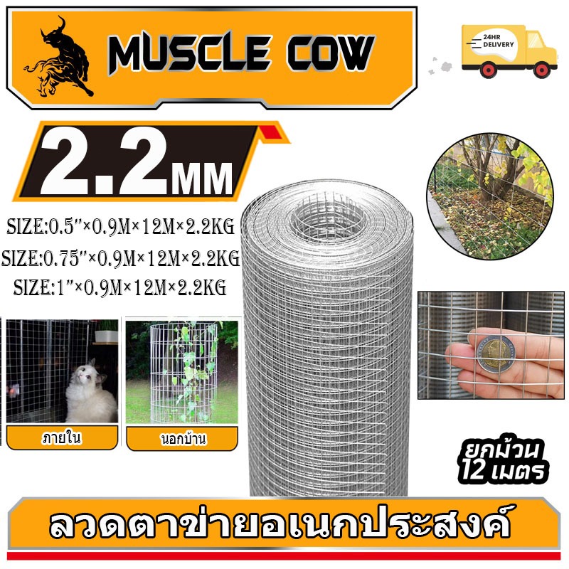MUSCLE COW ลวดตาข่าย ชุบกัลวาไนซ์ ตะแกรงปูผนัง ลวดเหล็ก รั้วตาข่าย